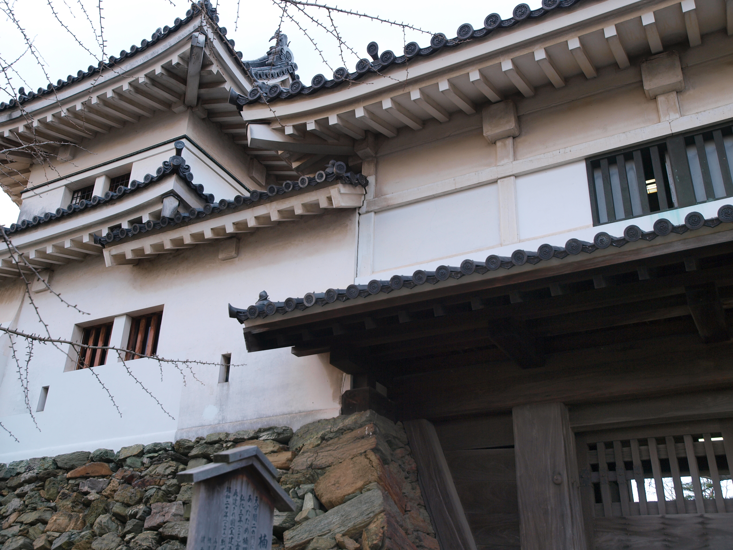 P1112751.JPG