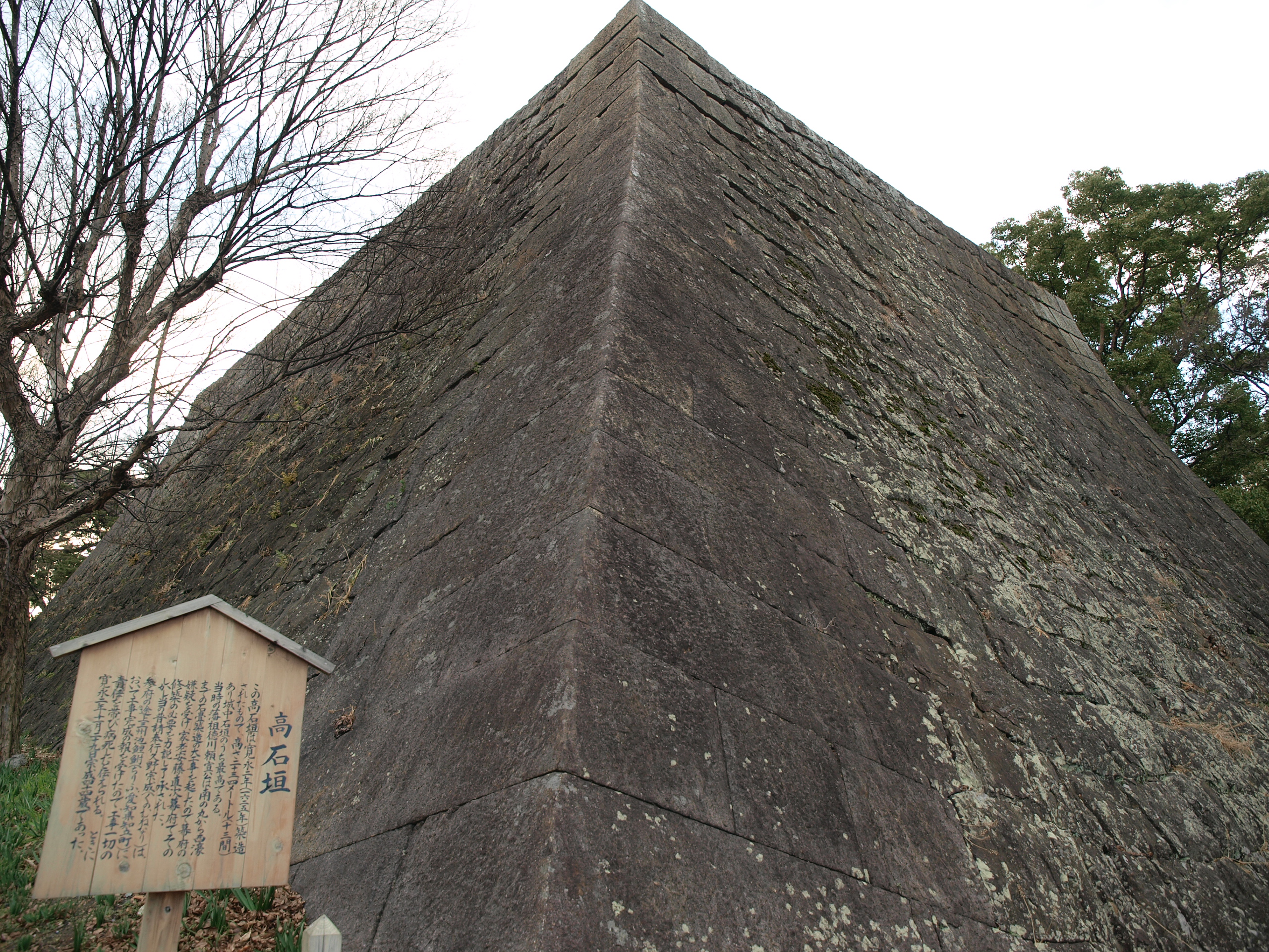 P1112753.JPG