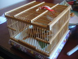 img0013.jpg