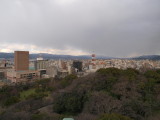 img0031.jpg