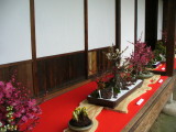 img0004.jpg