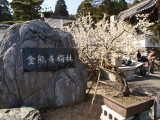 img0005.jpg
