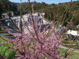 img0008.jpg