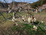 img0015.jpg