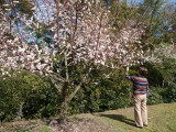 img0019.jpg