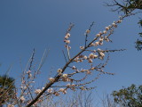 img0023.jpg