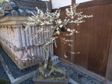 img0025.jpg