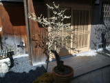 img0027.jpg