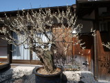 img0028.jpg