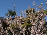 img0037.jpg