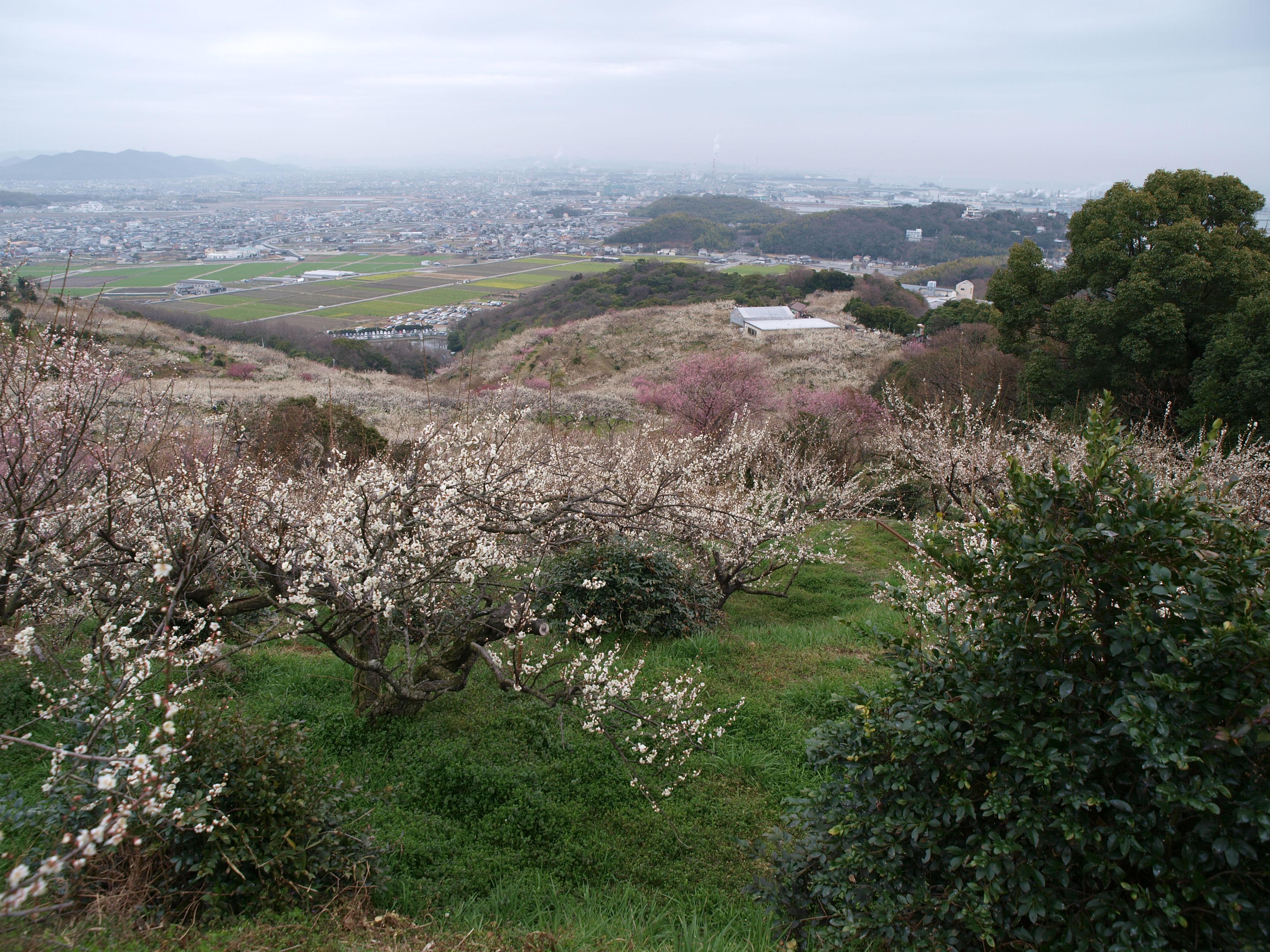 P2222933.JPG