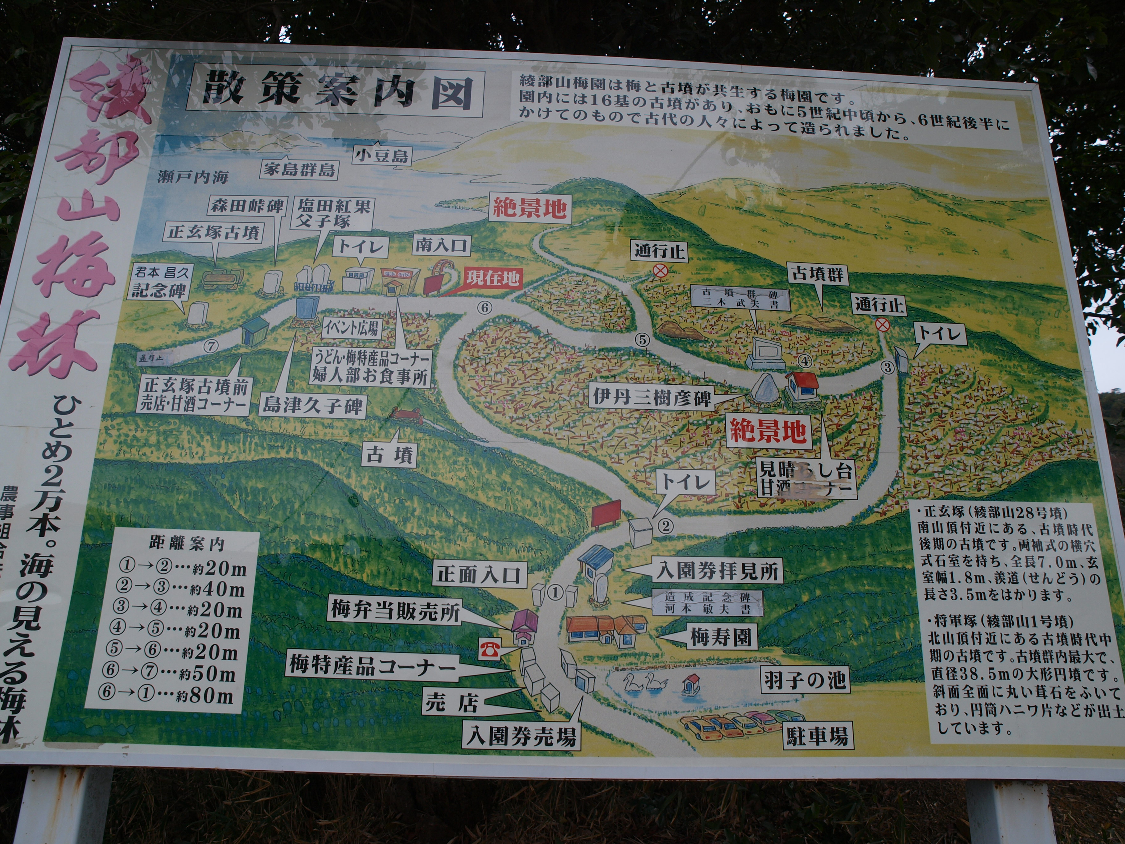 P2222950.JPG