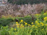 img0011.jpg