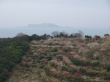 img0013.jpg