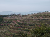 img0014.jpg