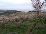 img0018.jpg