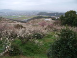 img0019.jpg
