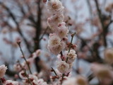 img0022.jpg