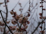 img0023.jpg
