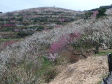 img0040.jpg