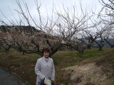 img0041.jpg