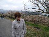 img0042.jpg