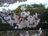 img0002.jpg