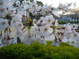 img0003.jpg