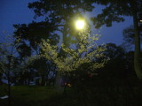 img0000.jpg