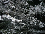 img0006.jpg
