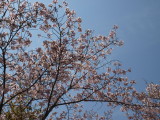 img0000.jpg