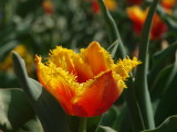 img0006.jpg