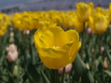 img0007.jpg
