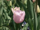 img0008.jpg