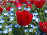 img0009.jpg