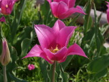 img0011.jpg