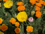 img0013.jpg