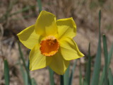img0015.jpg