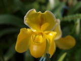 img0021.jpg