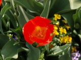 img0022.jpg