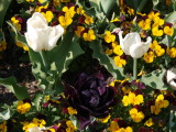 img0025.jpg