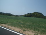img0065.jpg