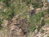 img0097.jpg
