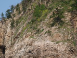 img0098.jpg