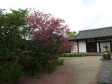 img0001.jpg