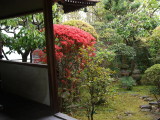 img0004.jpg