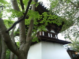 img0006.jpg
