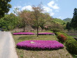 img0018.jpg