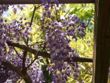 img0019.jpg