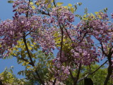 img0020.jpg